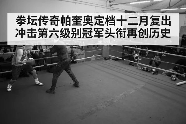 boxer training gym