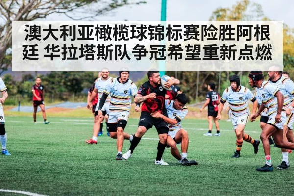 澳大利亚橄榄球锦标赛险胜阿根廷 华拉塔斯队争冠希望重新点燃