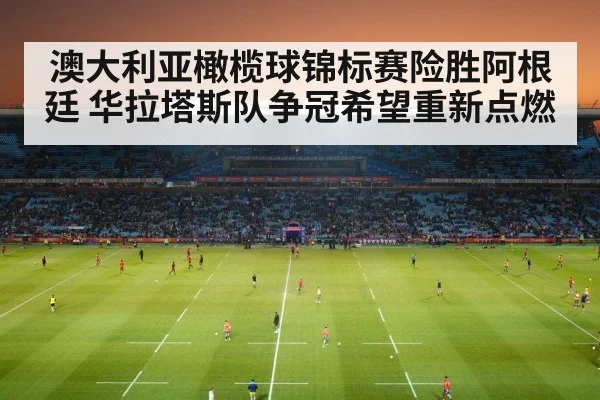 rugby stadium crowd